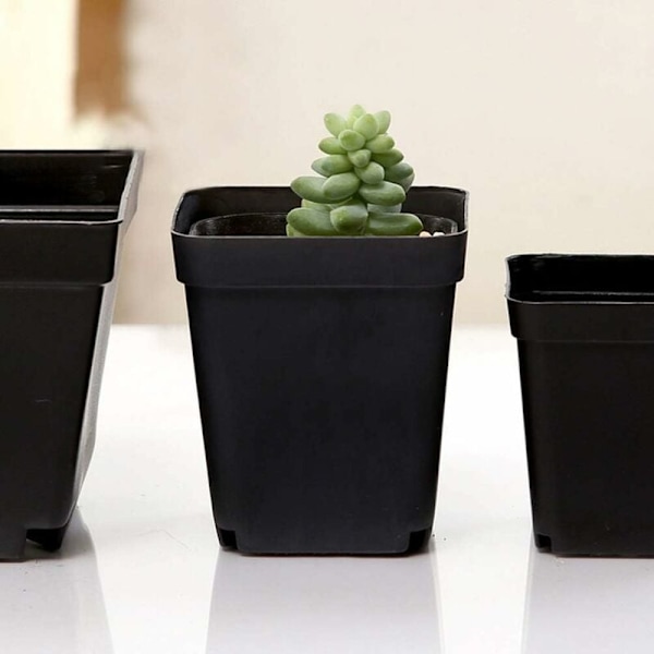 50 stk. sorte spirepotter - firkantede plastikpotter - små indendørs udendørs blomsterpotter (sort/ 6x6x6,5 cm)