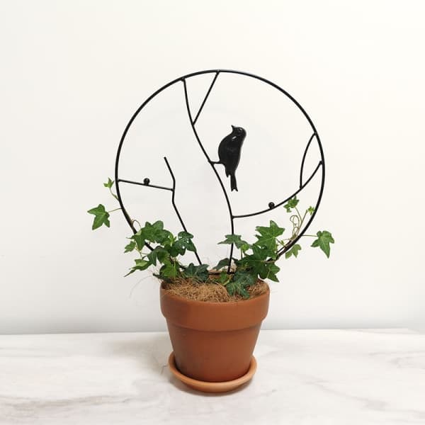 IC Klätterställning för krukväxter, blomkrukställ, växtställ i metall (diameter 35 cm, svart)