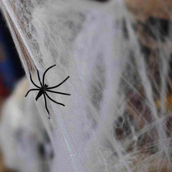 Stretchy Cobweb: Transform Your Home into a White Haunted House