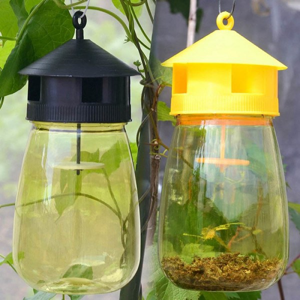 IC felle fruktstativ melon frukt insekter fruktflue bi armyworm kl Yellow