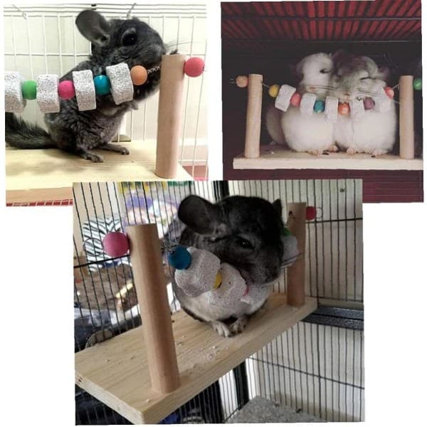 IC Trä Husdjurplattformar Chinchilla Hamster Papegoja Träplattform