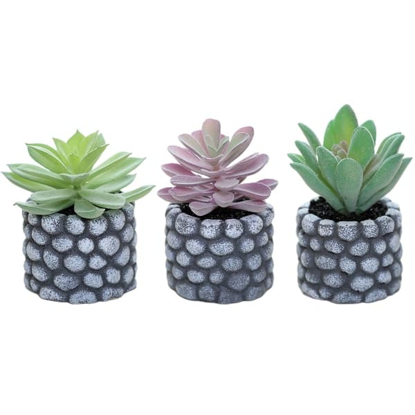 IC 3 stk. mini sukkulente potteplanter kreative små ornamenter