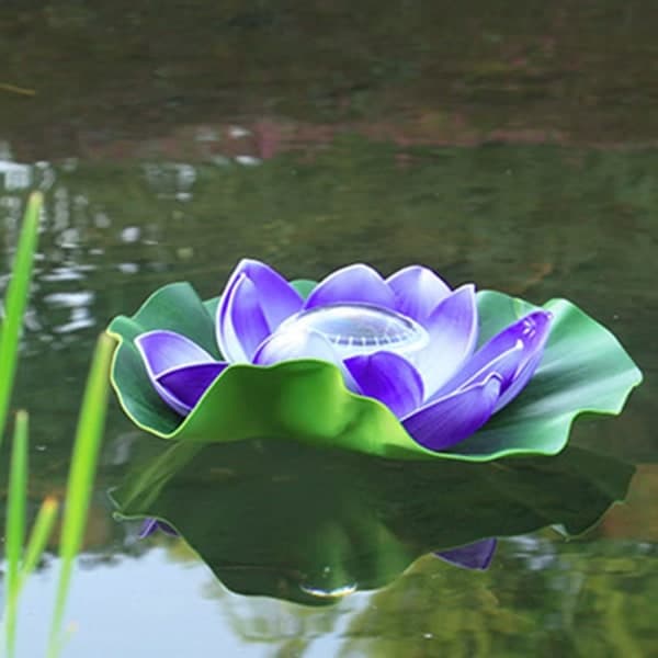 IC pool flydende lys lotus purplegarden