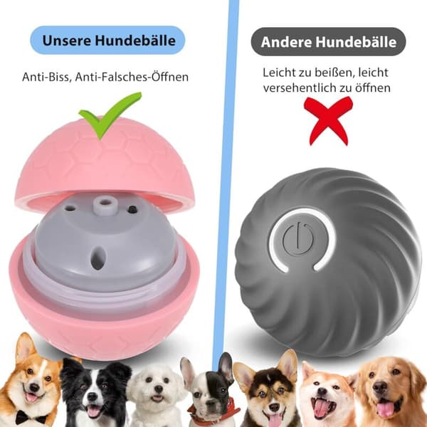 Interaktiv Ball for Hunder, Intelligens, Hundeleke