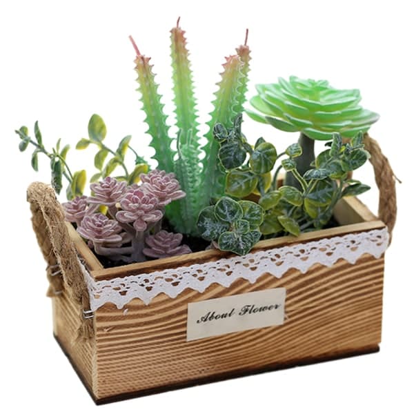 IC Træ håndvask kurv sukkulent kombination bonsai simulering
