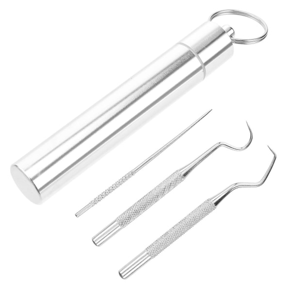 1 set tandpetare i rostfritt stål Bärbara tandokar Tänder Rengör verktyg Silver 6,5X1cm Silver 6.5X1cm IC