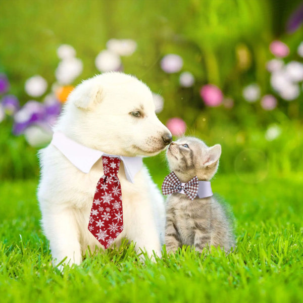 Pet Tie Dog Tie Justerbar kostym Hundhalsband Slips Party S