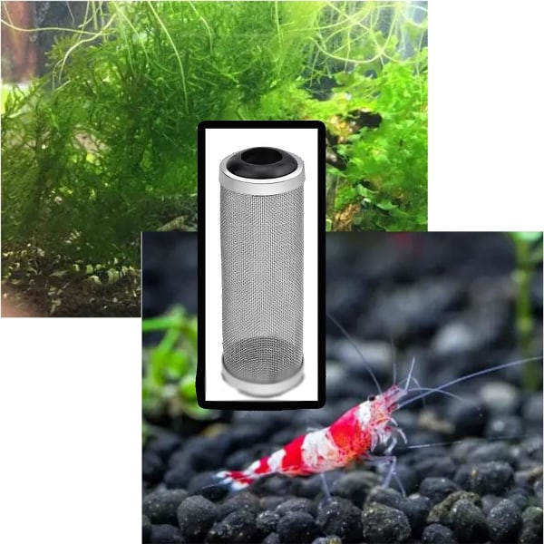 IC 2 stk 16mm Nettefilterbeskyttelse, Akvariumfilterbeskyttelse, Akvarium