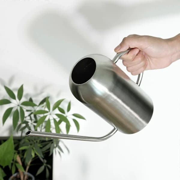 Vandkande i rustfrit stål med lang tud 1,5L til indendørs og udendørs planter Hjemmekontor Have Sort