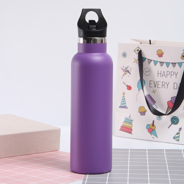 IC Rostfritt Stål Vattenflaska - 500ml, Läckagesäker 600ML