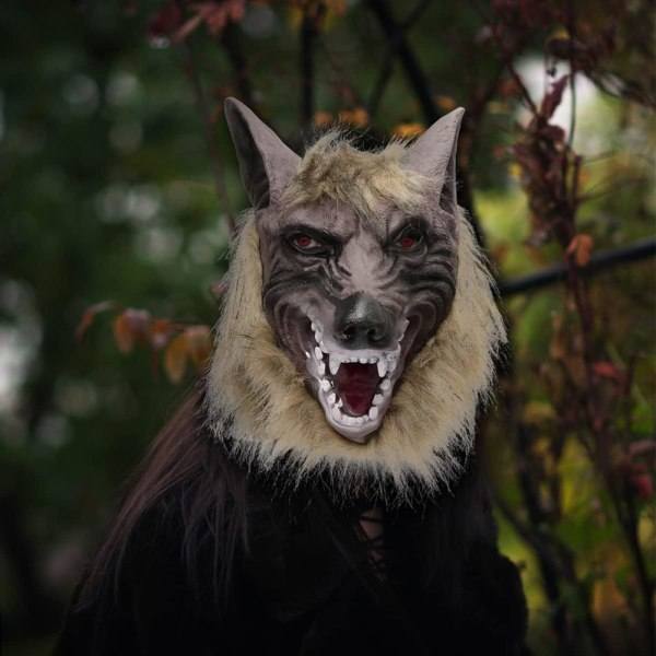 IC Toddmomy 2-pack vargskämtmasker, vargklorhandskar, Halloween varulvsmask, Werewolf Mask Handskar, Blandade Färger, 27x22cm