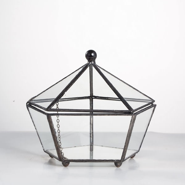 IG Lille glas geometrisk terrarium lukket juvelformet New Small Black Footed