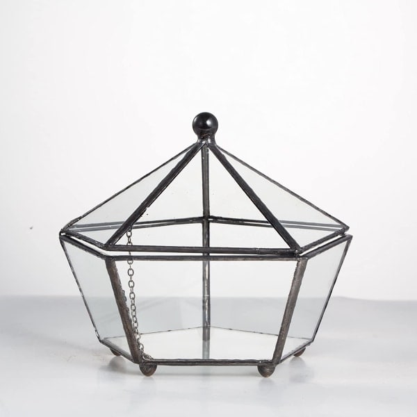 IG Litet glasgeometriskt terrarium slutet juvelförpackad form New Small Black Footed