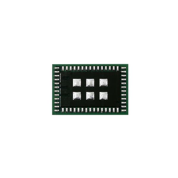 iPhone 5S Wifi IC