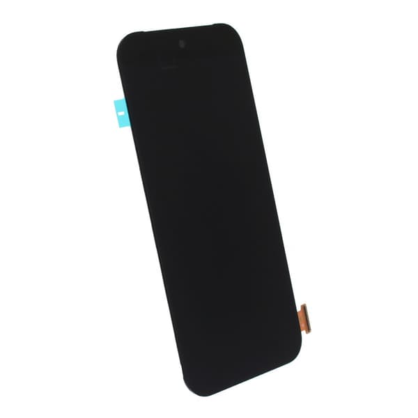 Googe Pixel 9 Pro Display