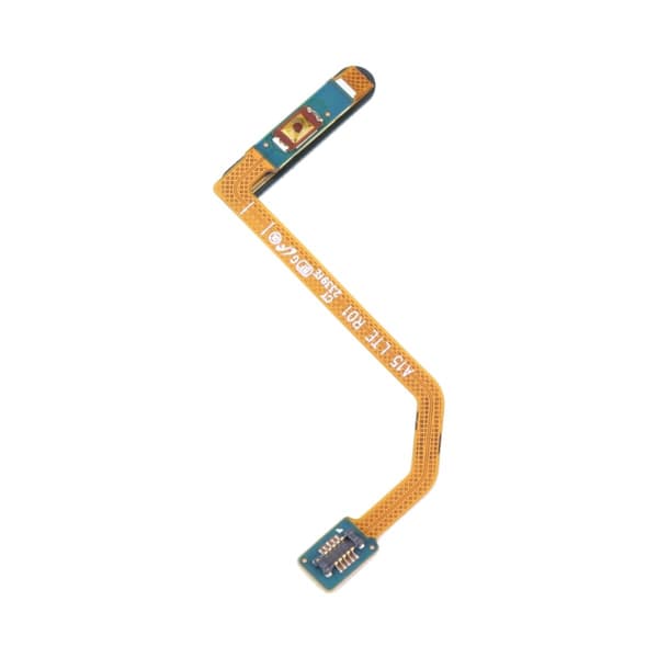 Samsung Galaxy A15 Fingeravtrycksläsare Flexkabel - Blå Blå