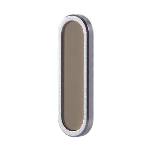 Camera button for taking pictures iPhone 16 Series - Titanium Gray Grå