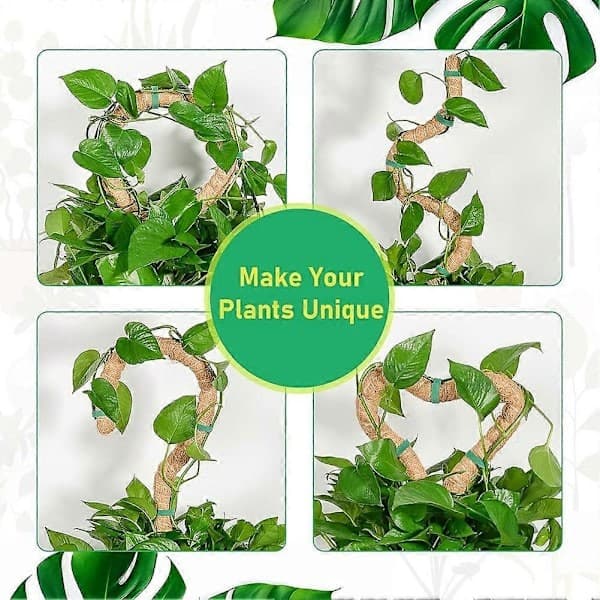 Mossbeklädd Monstera växtstöd, flexibelt inomhusväxtstöd, klätterväxtstöd (2-pack)
