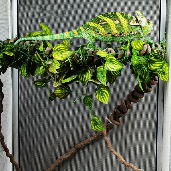 Djungelhabitat Flexibel Simulerad Rotting Atomizer Enhet Set för Reptil Terrarium(typ1)