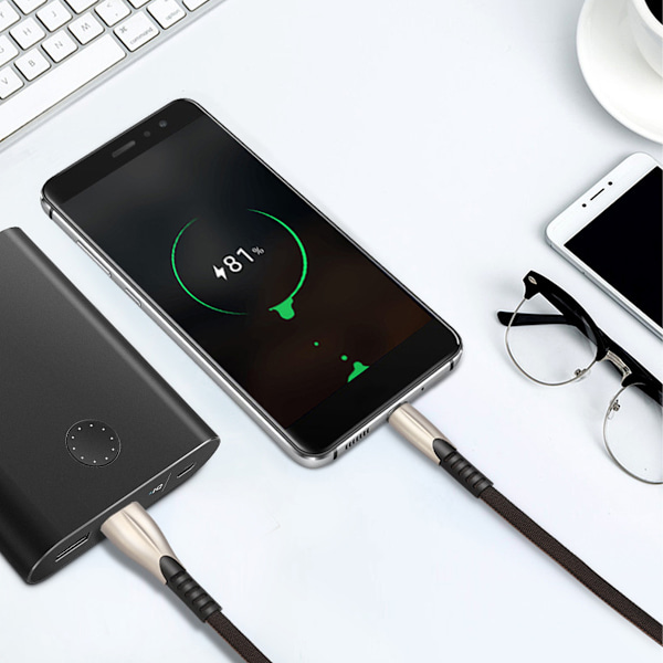 EcoCharge Elite: Transparent Skaldesign Snabbladdning & Synkroniseringskabel, 2-i-1 Design USB Typ C 3A Laddning Och Dataöverföring, Verklig Snabbladdning, 3m