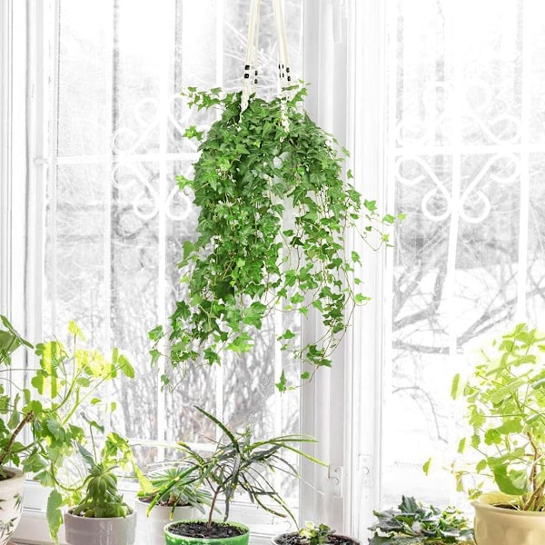 Chic Macrame Växtupphängare, Tjock Bomull för Stabilitet I En Stilren Och Unik Design, Perfekt För Boho Utomhus Heminredning (1ST, 35 tum)