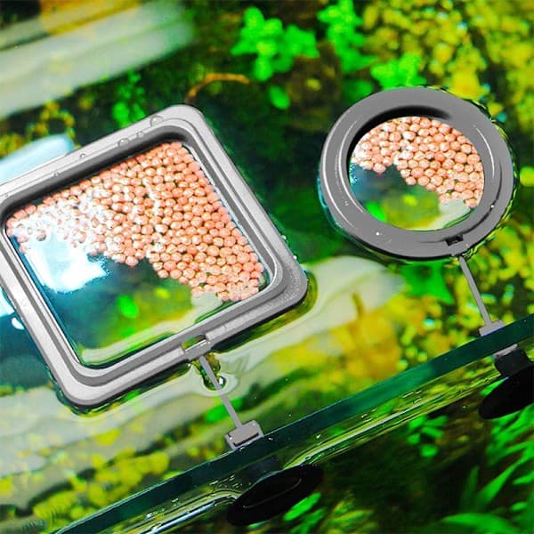 Akvarium Fodringsring Fisketank Station Flydende Foderautomat En Sort2