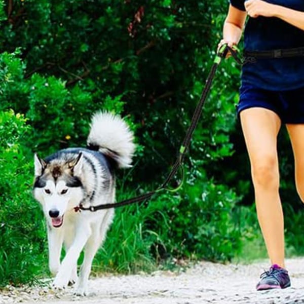 Jogging Hundekobbel, Oppgradert Håndfri Hundekobbel Med To Bungees, Lang Nylon Hundekobbel Med Justerbart Midjebånd For Gåing