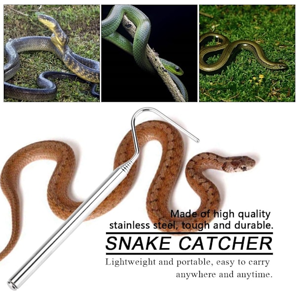 Reptilfångare, Säkert hanteringsverktyg för vilda djur, Lätt och bärbar reptilkrok i rostfritt stål med teleskopisk design, För