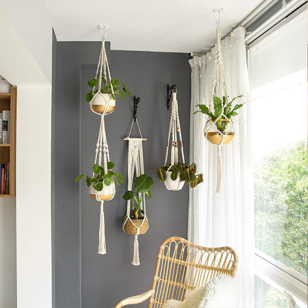Hængekurv, planteholder