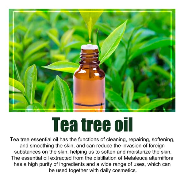 Tea tree massageolja för hårreparation, återfuktande ansiktsserum