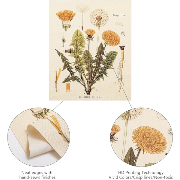 Elegant Franskt Botaniskt Tryck, Oramat Kvalitetsmaterial För Din Heminredningsstil, 40 x 50 cm Linneduk