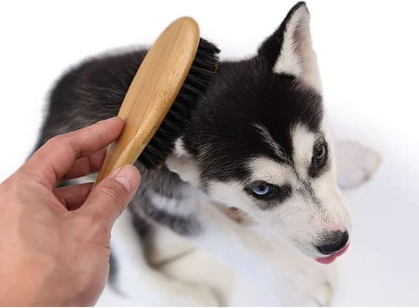 Naturlig Bambu Borstborste för Hundar och Katter (1 st)