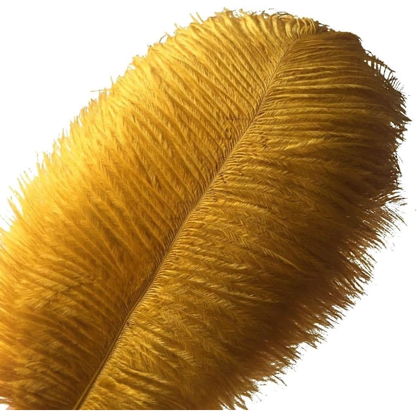 10 stk. Strudsefjer 30-35 cm til bryllupsdekoration