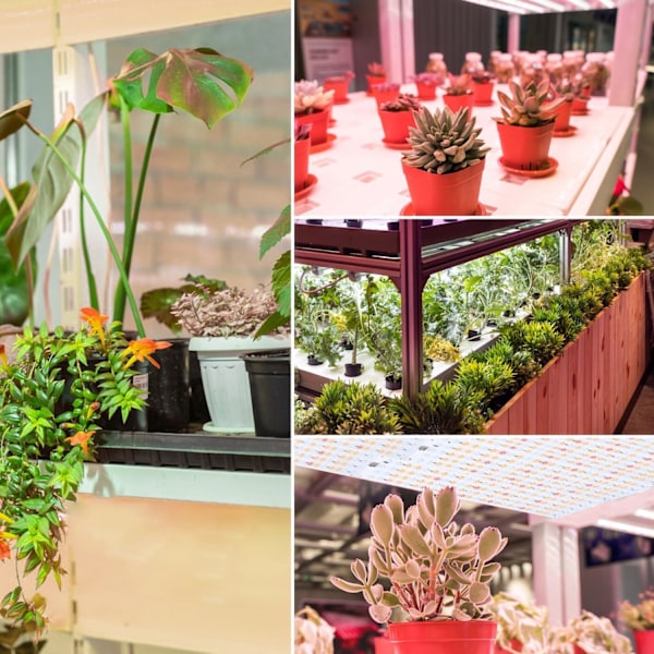 4 stk. LED Plantelys, med 3/9/12 timers timer, til frøplanter sukkulenter grøntsager blomstring