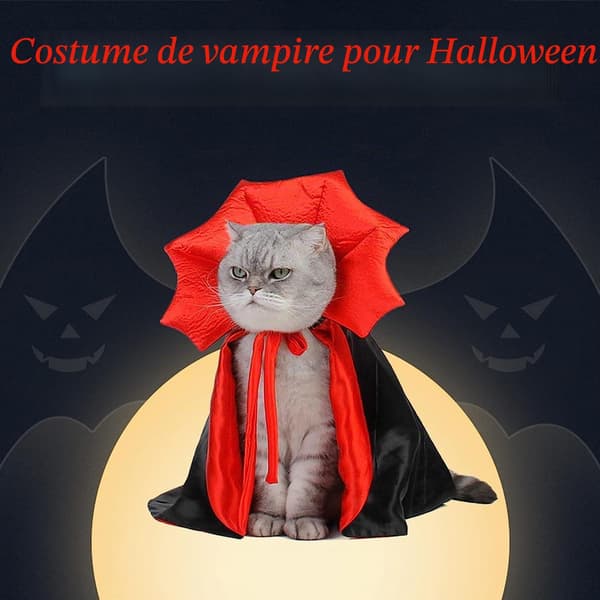 Halloween hunde- og kattekostumer, vampyrkappe, kæledyrs-halloweenkostume, kattekostume (M)