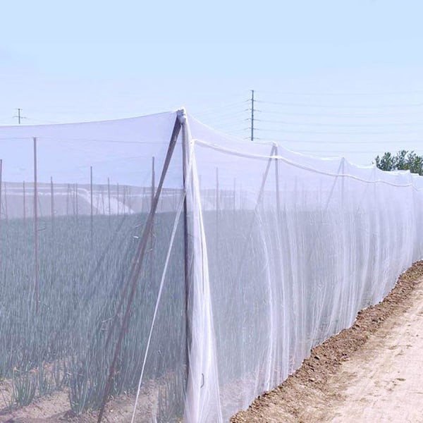 Insektbeskyttelsesnet, grøntsagsnet, plantenet til planter, grøntsager, frugter mod insekter, fugle, biller, hvid 60, net, 2,5*10M 2.5m*10m