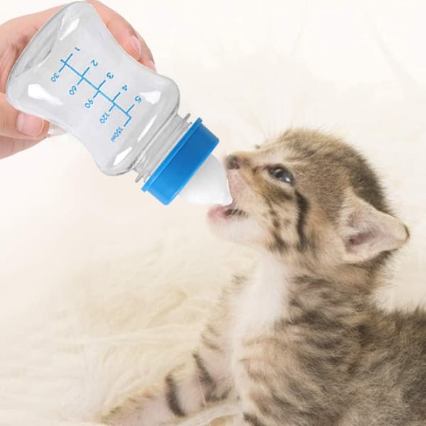 Sutteflaske til hvalpe, sutteflaske til nyfødte, sutteflaske til killinger, Velegnet til nyfødte dyr, 150 ml