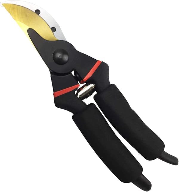 Profesjonell Premium Titanium Bypass Beskjæringssaks, Håndsaks, Hageklipper. (Bypass)