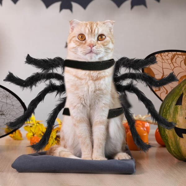 Halloween-kostumer til hunde og katte, edderkoppekostumer til Halloween-karneval. Størrelse S
