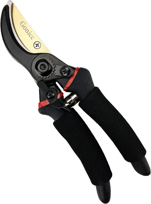 Profesjonell Premium Titanium Bypass Beskjæringssaks, Håndsaks, Hageklipper. (Bypass)