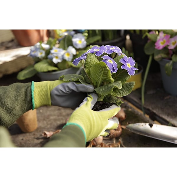 Kew Gardens Kollektion Så- og Lugerhandsker