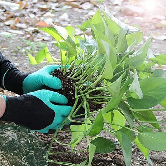 Havehandsker med kløer til plantning, havehandsker med kløer til kvinder