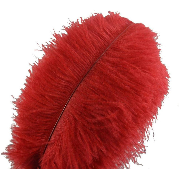 10kpl Strutsin Sulkia 30-35cm Kodin Häät Koristeluun