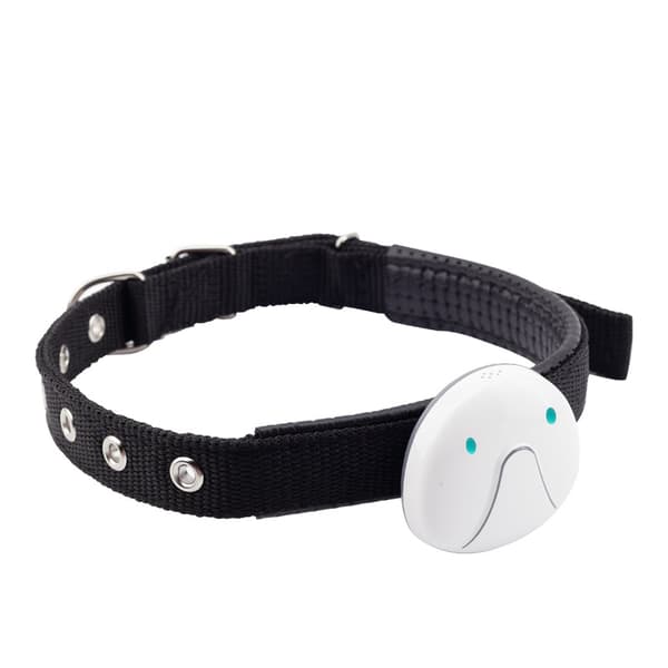 GPS-halsband för katt och hund, GPS-spårare, vit
