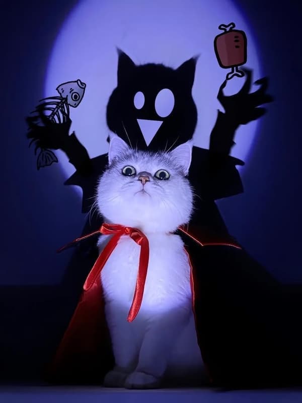 Halloween hunde- og kattekostumer, vampyrkappe, kæledyrs-halloweenkostume, kattekostume (M)