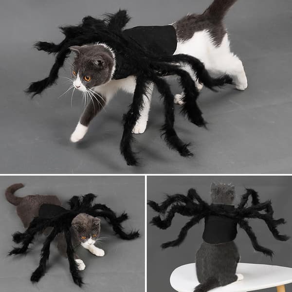 Halloween-kostumer til hunde og katte, edderkoppekostumer til Halloween-karneval. Størrelse S