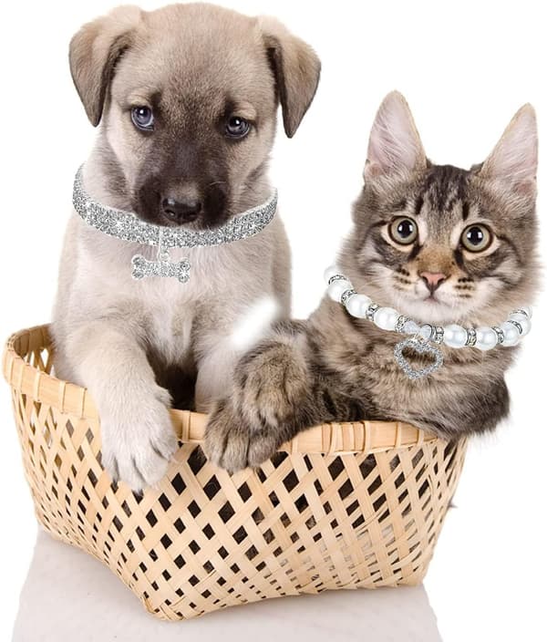 25 cm justerbart krystal kæledyrshalsbånd med forlængerkæde, glitrende elastisk hundehalsbånd