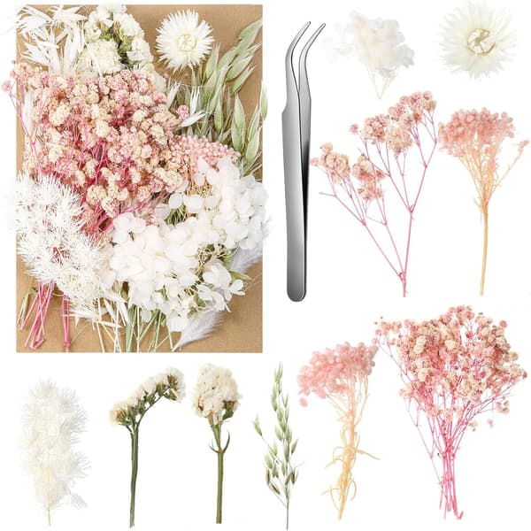 Tørrede blomster, naturlige tørrede blomster, ægte pressede tørrede blomster, dekoration til scrapbooking, stearinlysfremstilling