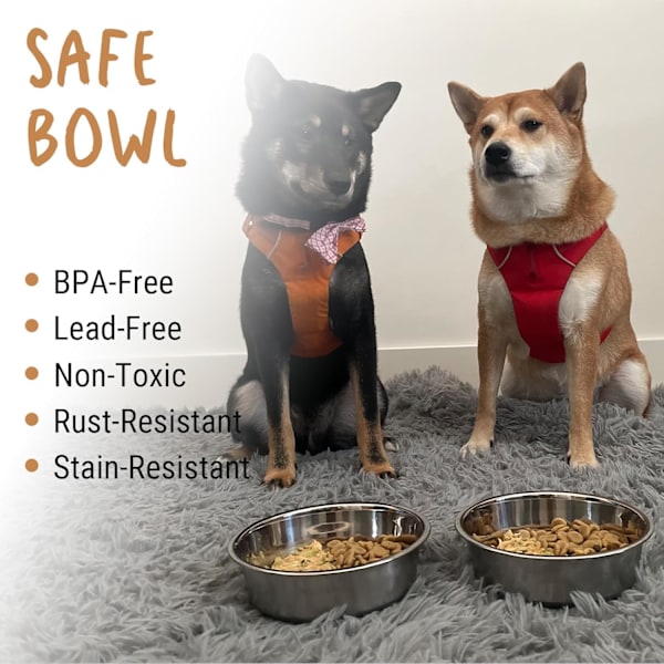 Hundskålar i rostfritt stål, 2-pack