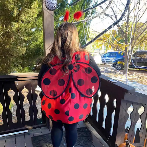 Lapsen Kimalaisasu Eläinasu Juhlat Cosplay Naamiaisasu Setti Red 140